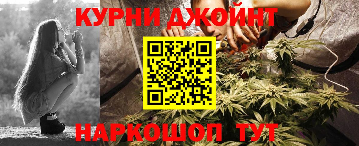 Шишки марихуана марихуана  Вход с VPN  Ржев  Шишки марихуана тримм 